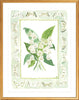 The "Lily of the Valley Charms" Watercolor Fine Art Print, Flower Charm Series - Liza Pruitt