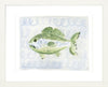 The "One Fish, Green Fish" Fine Art Print - Liza Pruitt