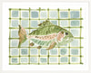 The "Plaid Atlantic Fish" Watercolor Animal Fine Art Print - Liza Pruitt