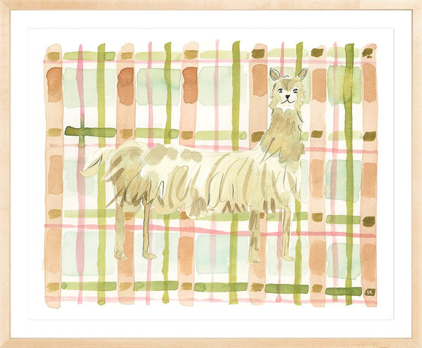 The "Plaid Llama" Watercolor Animal Fine Art Print - Liza Pruitt