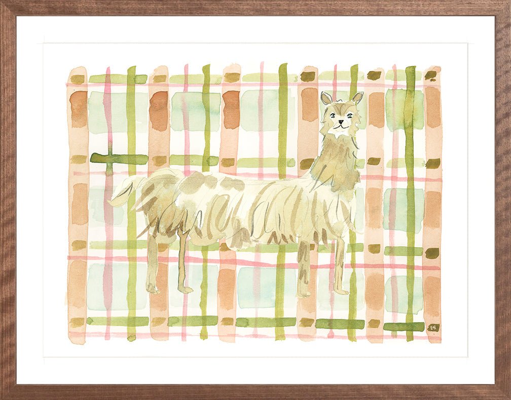The "Plaid Llama" Watercolor Animal Fine Art Print - Liza Pruitt