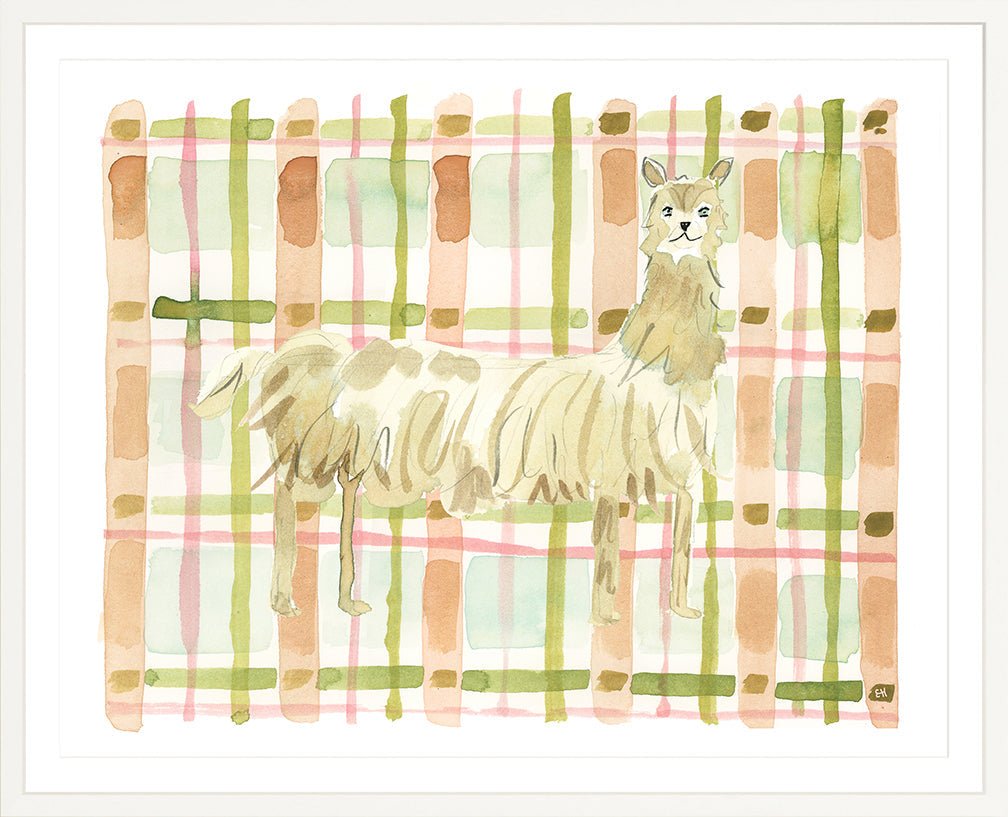 The "Plaid Llama" Watercolor Animal Fine Art Print - Liza Pruitt