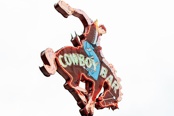 The Rodeo II - Liza Pruitt