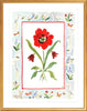 The "Somerset Charms" Watercolor Fine Art Print, Flower Charm Series - Liza Pruitt