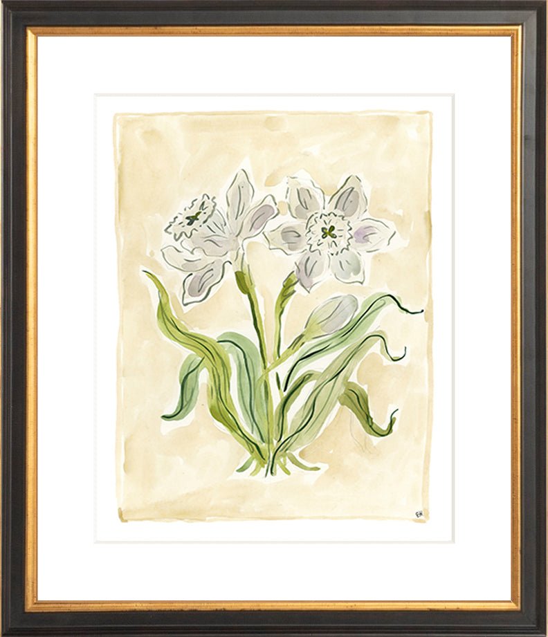 The "White Daffodils" Florilegium Series, Fine Art Print - Liza Pruitt