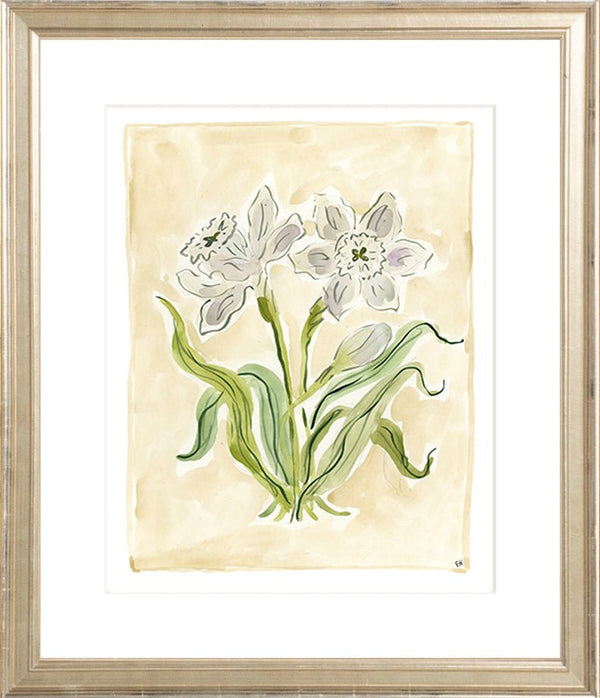 The "White Daffodils" Florilegium Series, Fine Art Print - Liza Pruitt