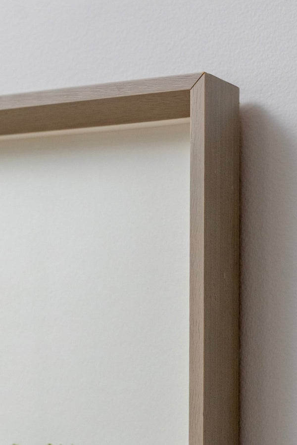 Three Green Fig Leaf Series II | 20" h x 25" w | Framed - Liza Pruitt