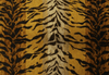 Tiago Velvet Tiger Pillow - Liza Pruitt