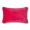 Time for my Medicine Needlepoint Pillow - Liza Pruitt