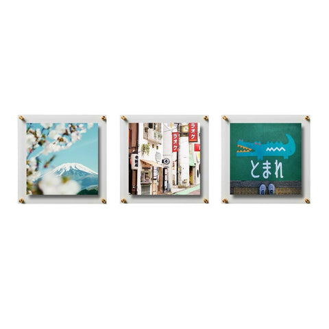 Triade Set of 3 Double Panel Float Frames [4010D - ] - Liza Pruitt