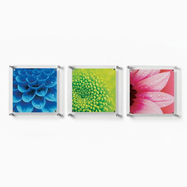 Trio: 3 Square 14" x 14" Acrylic Memo Board + Magnets - Liza Pruitt