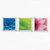 Trio: 3 Square 14" x 14" Acrylic Memo Board + Magnets - Liza Pruitt