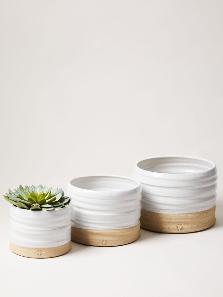 Trunk Garden Pot - Liza Pruitt