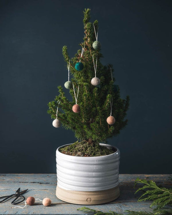 Trunk Garden Pot - Liza Pruitt