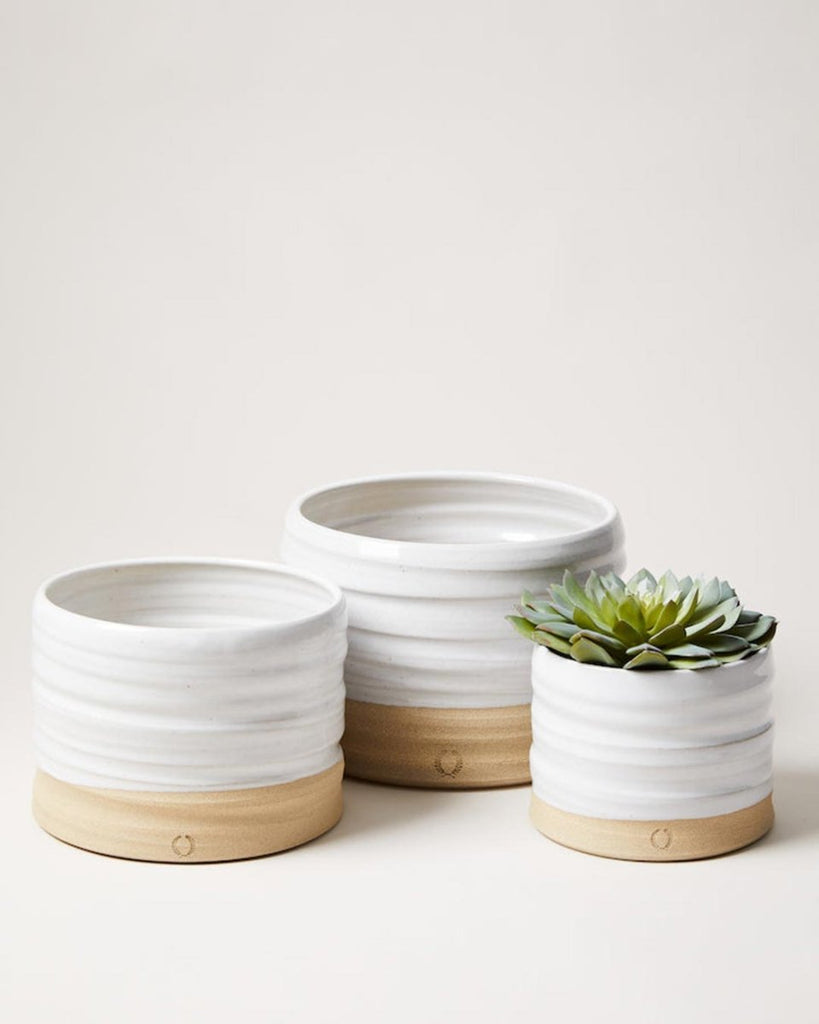 Trunk Garden Pot - Liza Pruitt