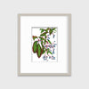 Virginia Creeper - Open Edition Paper Print - Liza Pruitt