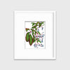 Virginia Creeper - Open Edition Paper Print - Liza Pruitt