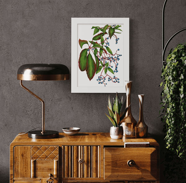 Virginia Creeper - Open Edition Paper Print - Liza Pruitt