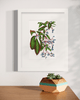 Virginia Creeper - Open Edition Paper Print - Liza Pruitt