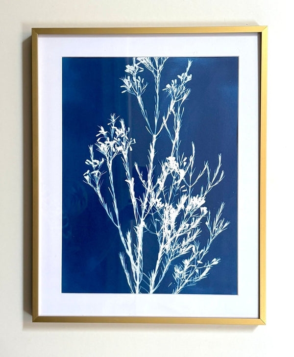 Weeping Baeckea | 19.25" h x 15.25" w | Framed - Liza Pruitt