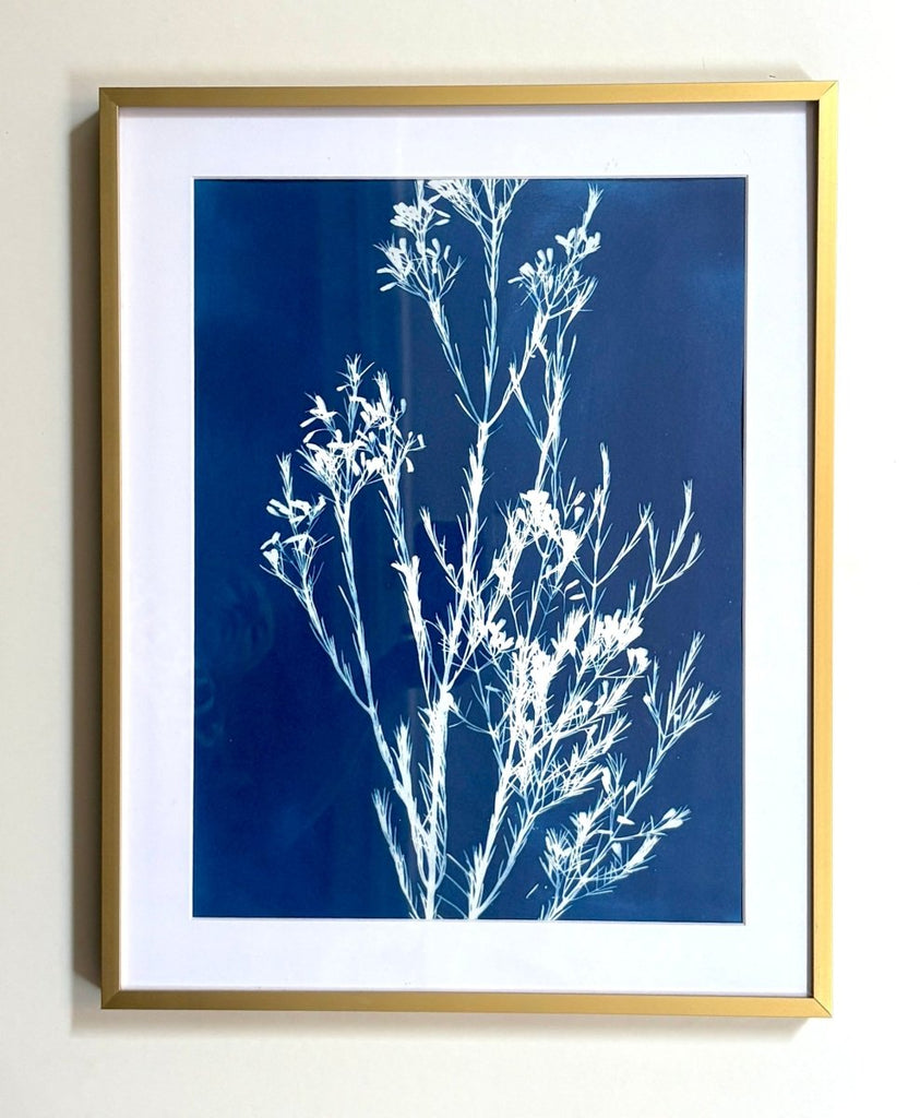 Weeping Baeckea | 19.25" h x 15.25" w | Framed - Liza Pruitt