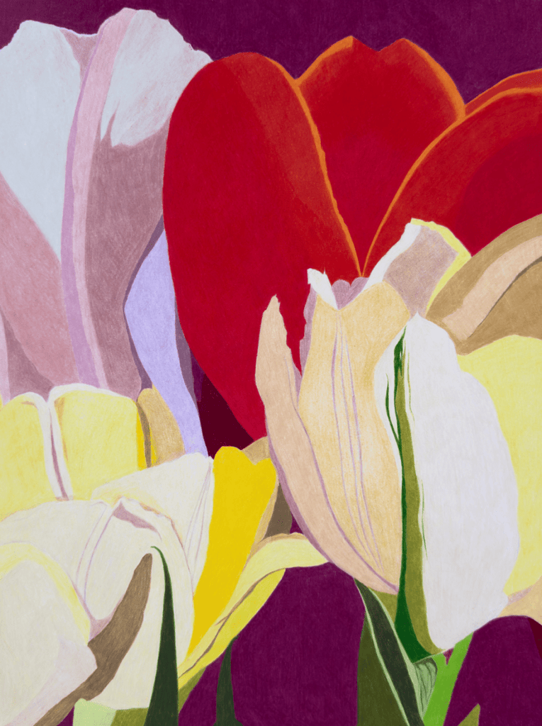 White and Yellow Tulips, with Red | 24" h x 16" w - Liza Pruitt