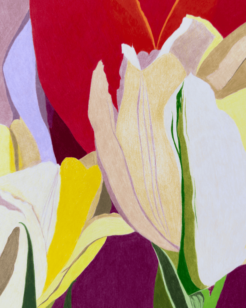 White and Yellow Tulips, with Red | 24" h x 16" w - Liza Pruitt
