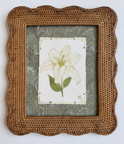 White Lily | 11.5" h x 13.5" w | Framed - Liza Pruitt