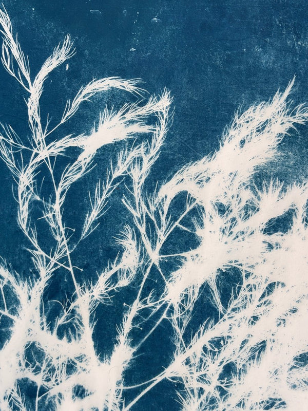 Wild Silhouette | 30" h x 22" w - Liza Pruitt