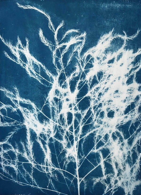 Wild Silhouette | 30" h x 22" w - Liza Pruitt
