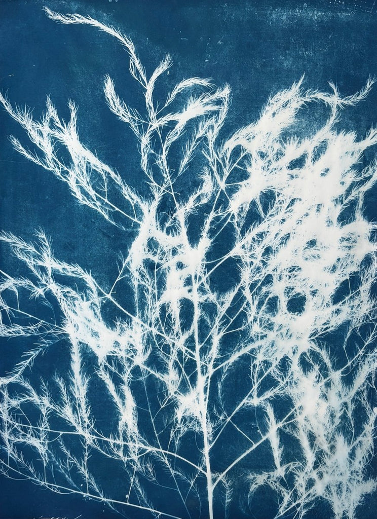 Wild Silhouette | 30" h x 22" w - Liza Pruitt
