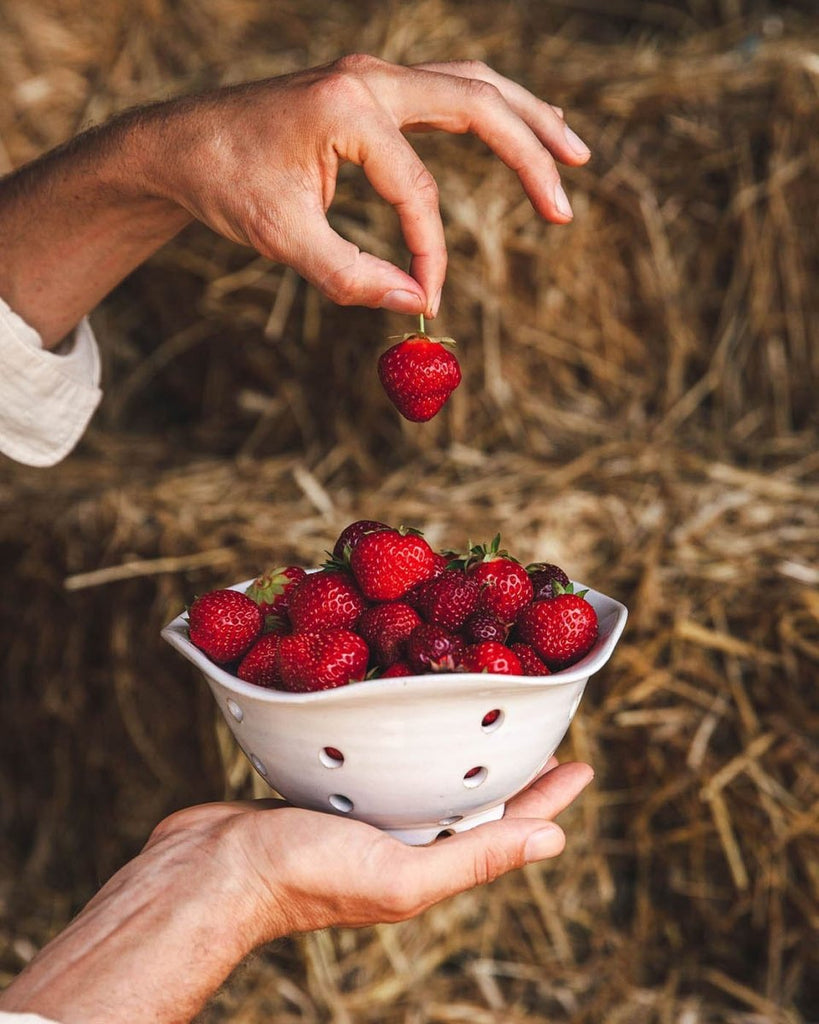 Windrow Berry Bowl - Liza Pruitt
