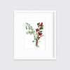 Winter Weather - Open Edition Paper Print - Liza Pruitt