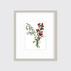 Winter Weather - Open Edition Paper Print - Liza Pruitt