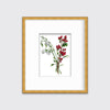 Winter Weather - Open Edition Paper Print - Liza Pruitt