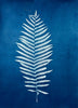 Woodland Fern Silhouette | 30" h x 22" w - Liza Pruitt