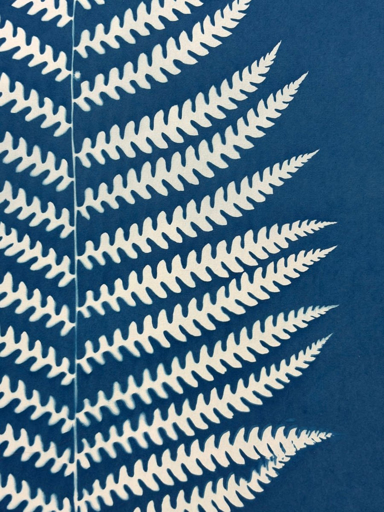 Woodland Fern Silhouette | 30" h x 22" w - Liza Pruitt