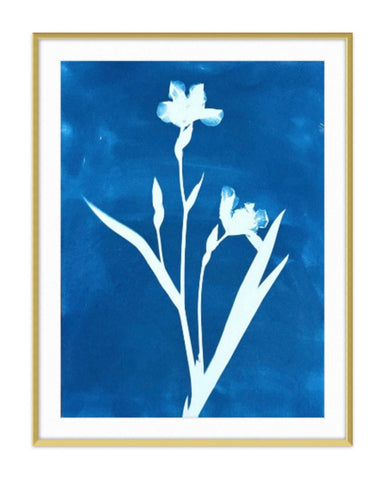 Yellow Iris | 24" h x 18" w - Liza Pruitt