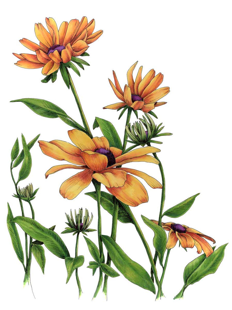Yellow - Open Edition Paper Print - Liza Pruitt