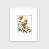 Yellow - Open Edition Paper Print - Liza Pruitt
