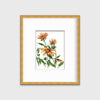 Yellow - Open Edition Paper Print - Liza Pruitt