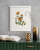 Yellow - Open Edition Paper Print - Liza Pruitt