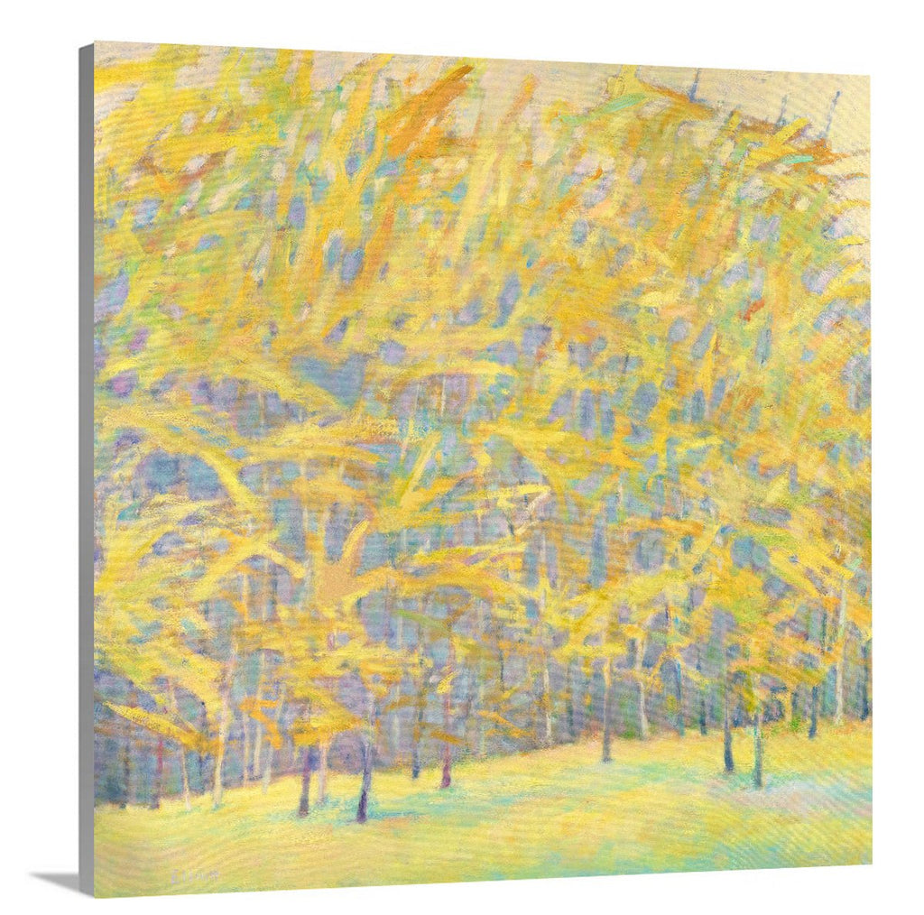 Yellow Winds II - Limited Edition Canvas Print - Liza Pruitt