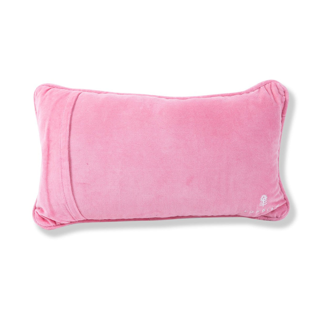 Ain't Nobody Needlepoint Pillow - Liza Pruitt