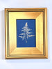Asparagus Plumosus Fern | 12" h x 10" w | Framed - Liza Pruitt