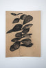 Black Eucalyptus | 8" h x 6" w - Liza Pruitt