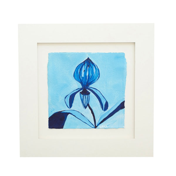 Blue Orchid | 14" h x 14" w - Garden Club - Liza Pruitt
