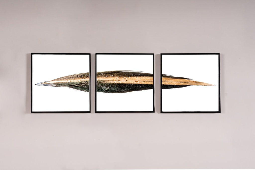 Blue Winged Tail Triptych | Framed and Unframed Options - Liza Pruitt