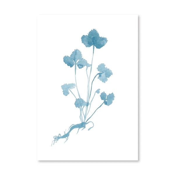 Botanical Print - Blue - Liza Pruitt
