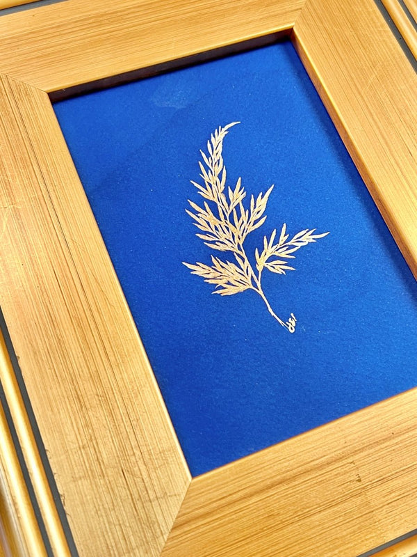 Carrot Fern | 12" h x 10" w | Framed - Liza Pruitt